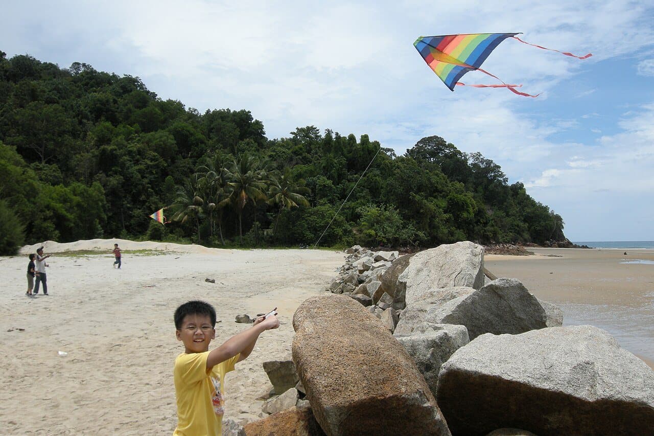Kites flying over Cherating beach, near The Legend Resort Cherating