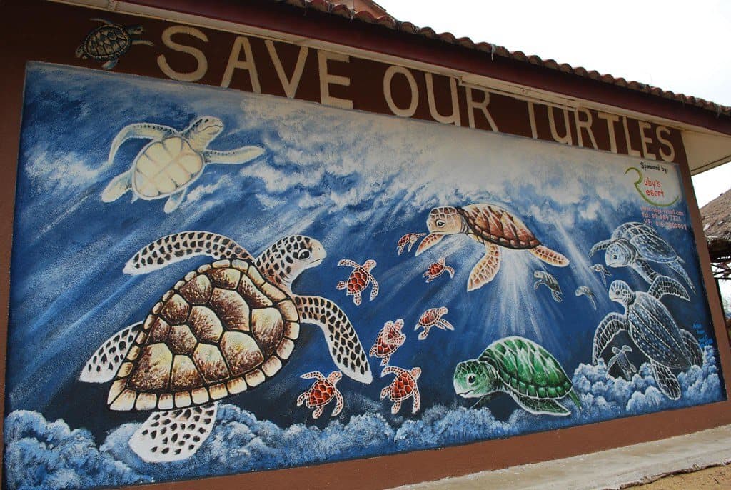 A painted turtle mural at the Cherating Turtle Sanctuary